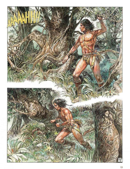 Serpieri Collection 0 - Druuna: Anima - Der Comixdealer