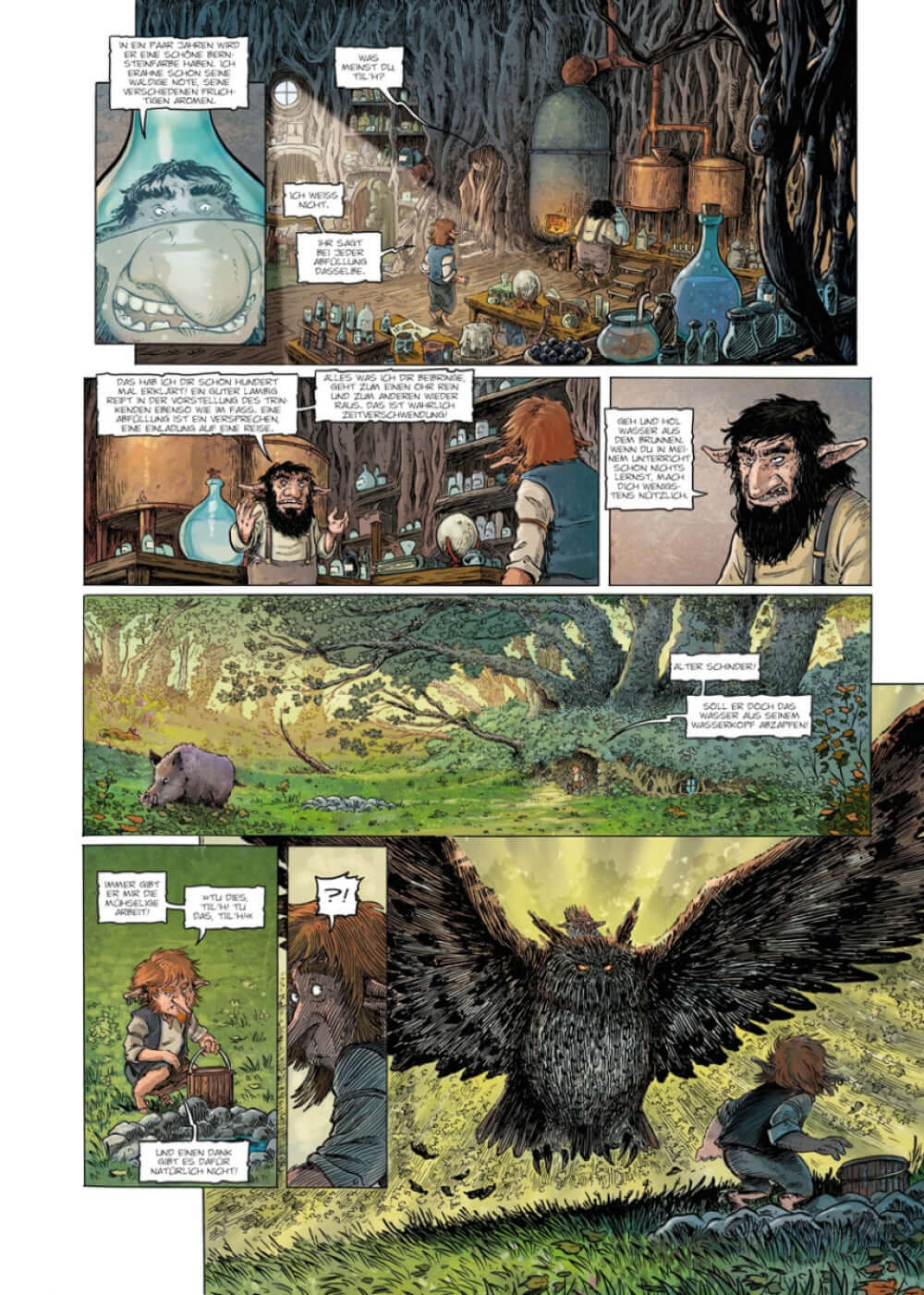 Brocéliande – Der Wald des kleinen Volkes 5: Der Spiegel der Feen