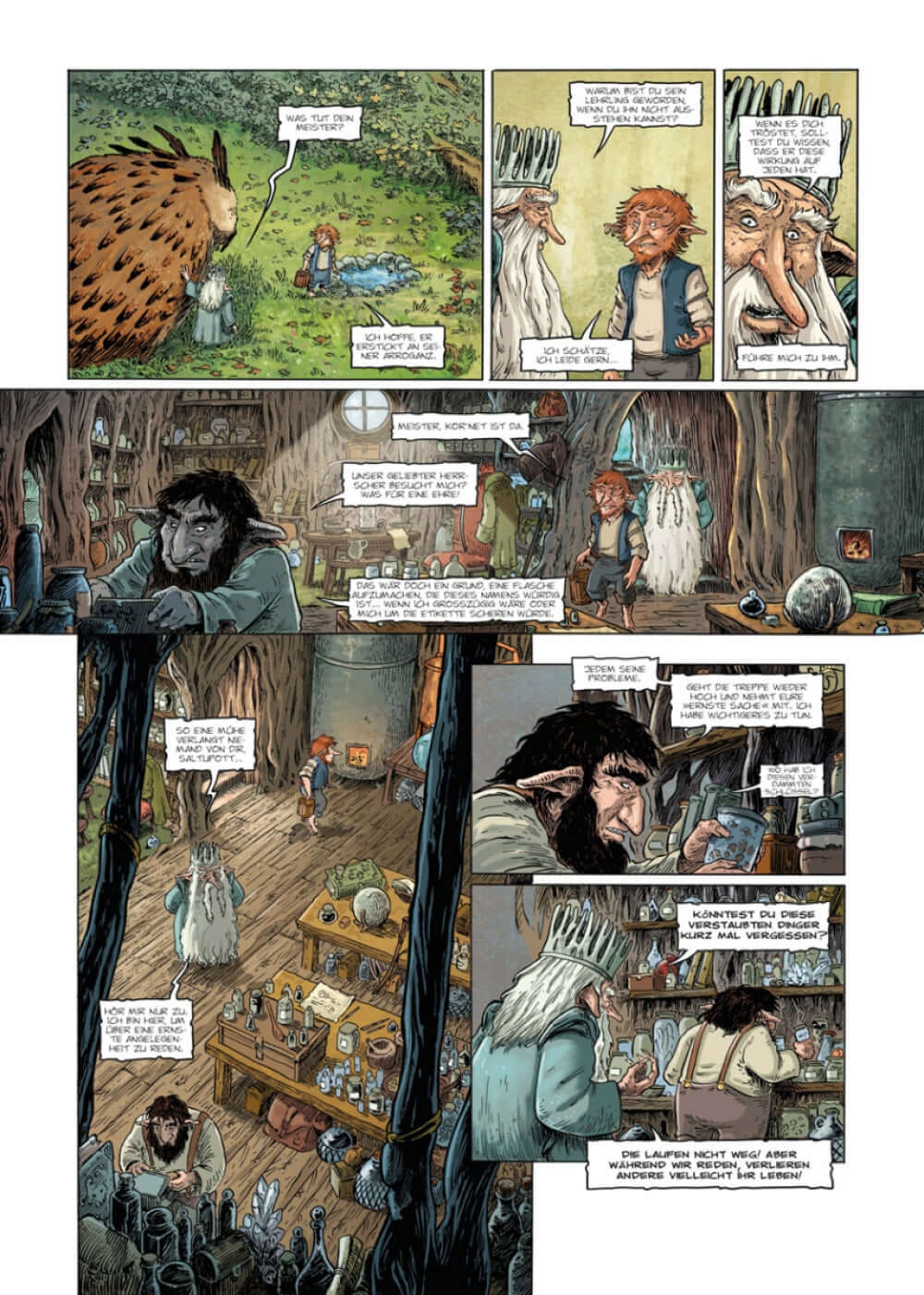 Brocéliande – Der Wald des kleinen Volkes 5: Der Spiegel der Feen