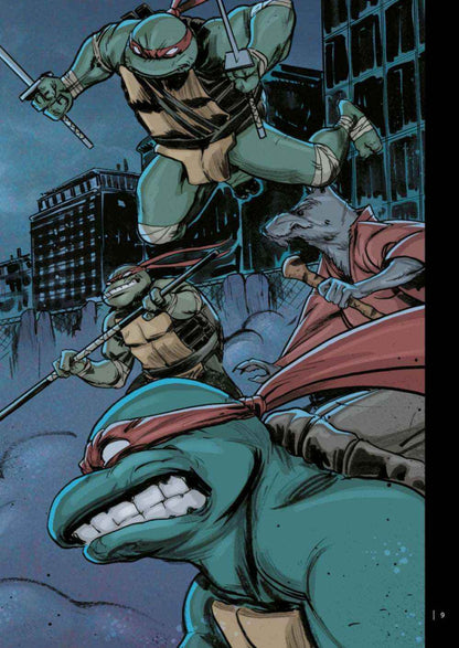 Teenage Mutant Ninja Turtles Splitter Collection 01 - Der Comixdealer