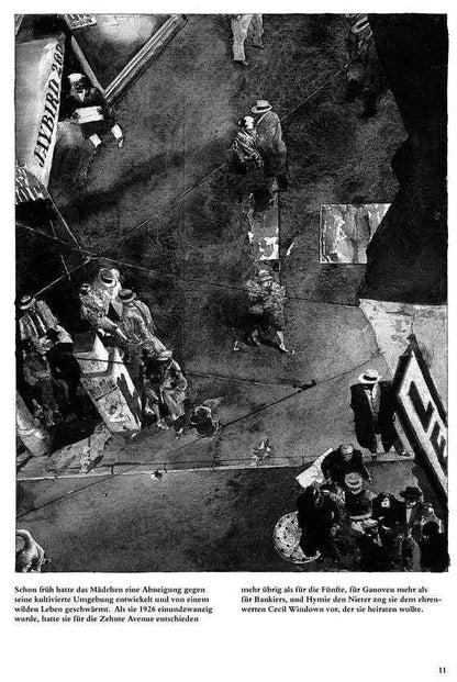 Fliegenpapier - Limitierte Werkstatt-Edition - Der Comixdealer