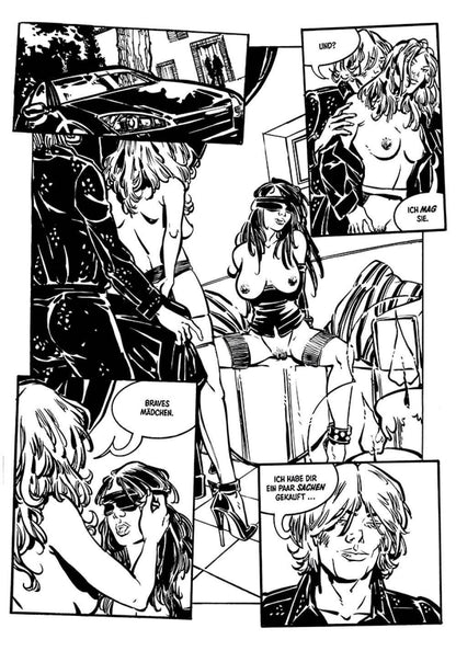 Fetisch und andere perverse Geschichten - Der Comixdealer