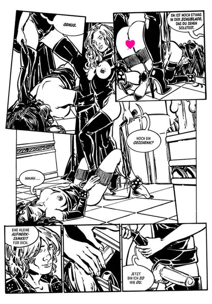 Fetisch und andere perverse Geschichten - Der Comixdealer