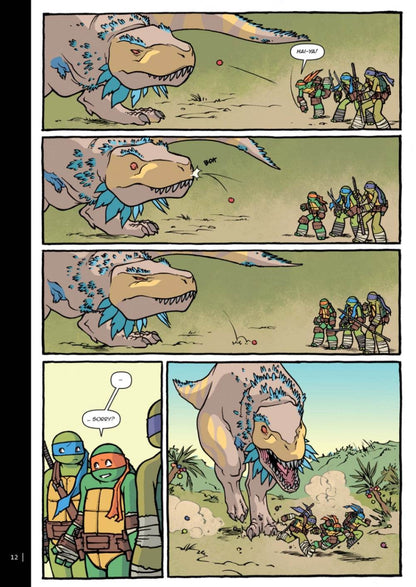 Teenage Mutant Ninja Turtles Splitter Collection 05 - Der Comixdealer