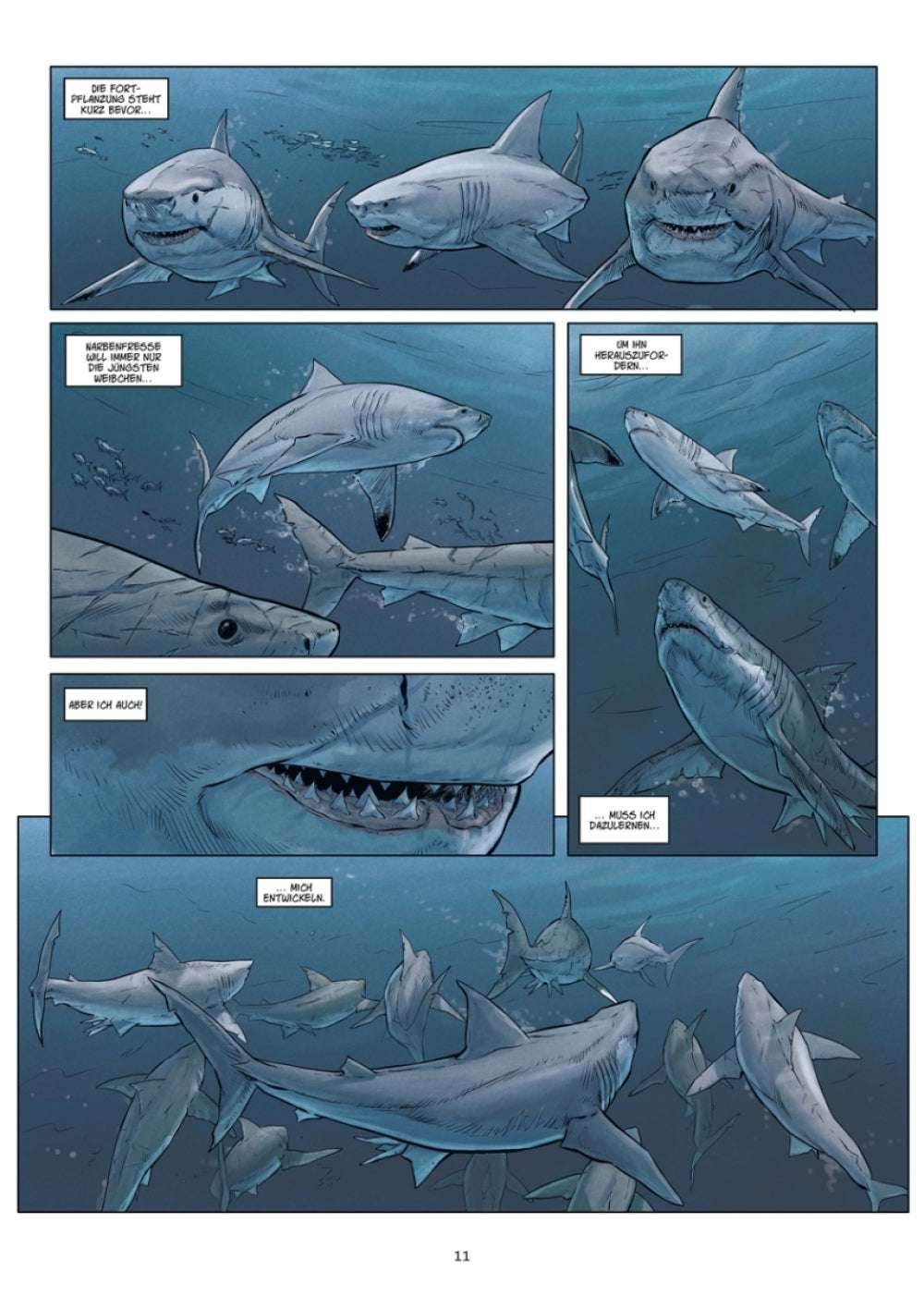 Megalodon - Der Comixdealer