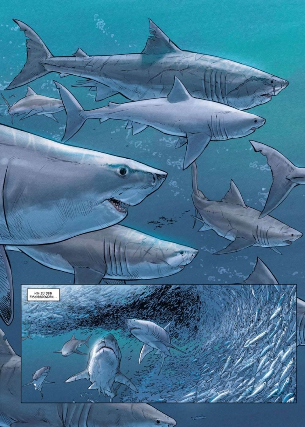 Megalodon - Der Comixdealer