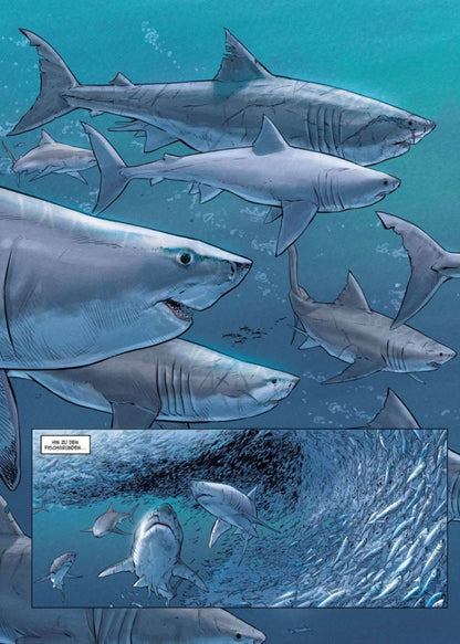 Megalodon - Der Comixdealer