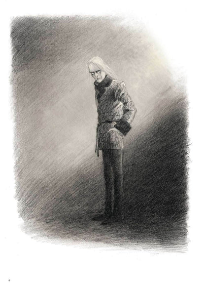 Der Untergang des Hauses Usher (illustrierter Roman) - Der Comixdealer