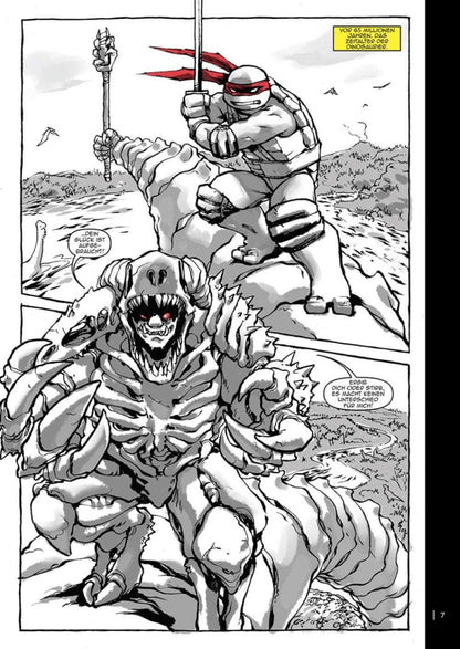 Teenage Mutant Ninja Turtles Splitter Collection 08