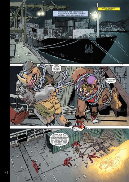 Teenage Mutant Ninja Turtles Splitter Collection 08