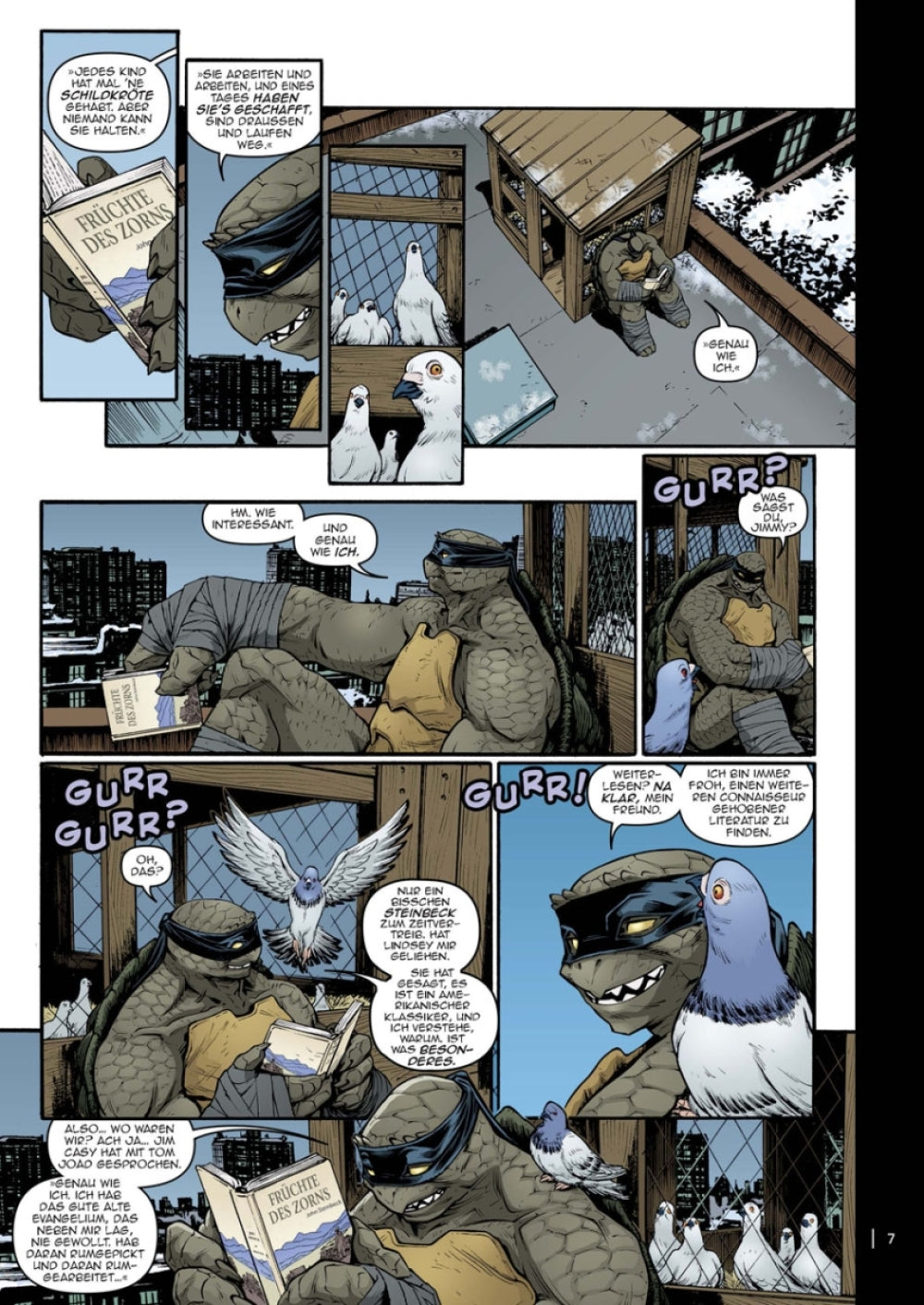 Teenage Mutant Ninja Turtles Splitter Collection #09