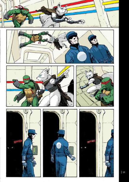 Teenage Mutant Ninja Turtles Splitter Collection #10