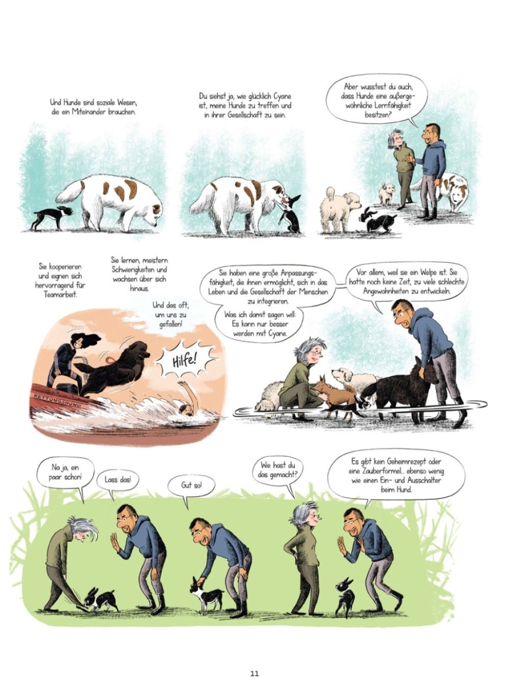 Hunde verstehen (Graphic Novel) Vergessen Sie alles, was sie über Hunde zu wissen glaubten