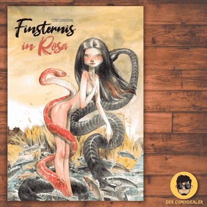 Finsternis in Rosa - Der Comixdealer