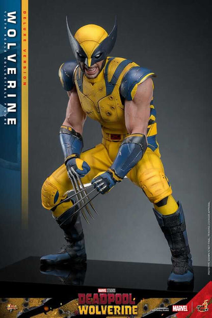 Deadpool & Wolverine Movie Masterpiece Actionfigur 1/6 Wolverine (Deluxe Version) 31 cm
